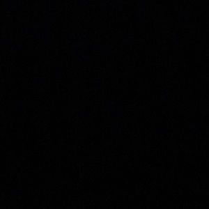 Meet your Posher, Dylan